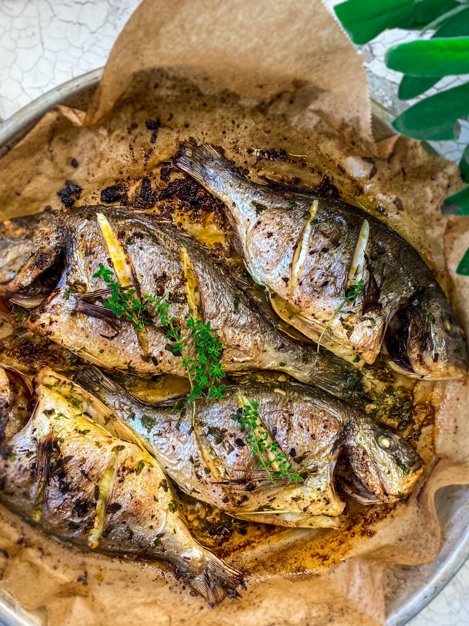 Dorade im Backofen Rezept