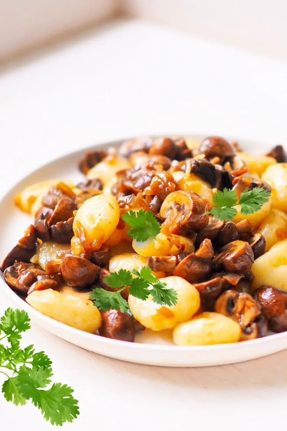 Schnelles Gnocchi Rezept mit Champignons